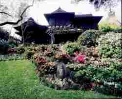 Japanese garden at the Huntington Library.